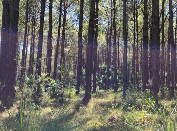 Campo · 24000000m²