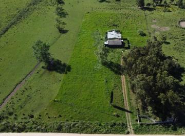 Campo · 95ha · Alquiler Campo 5 Ha Ruta 8 Km. 34 Rincón de Pando