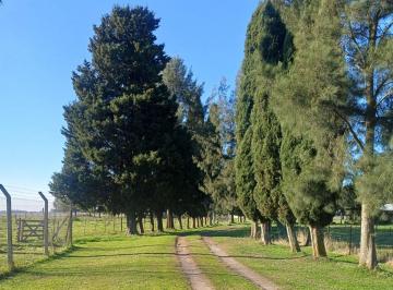 Campo · 560ha · Campo de 30 Hectáreas en Venta Sobre Ruta 36