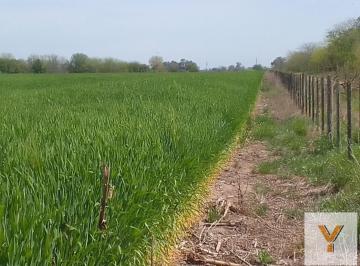Campo · 260000ha · Campo en Venta - 26 Hectáreas - Lobos