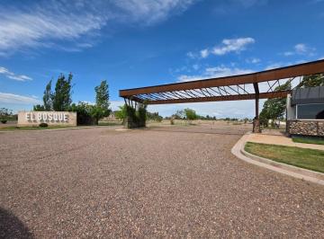 Terreno · 311m² · Venta Lote Rodeo del Medio, Maipú.