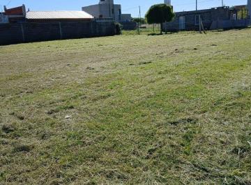 Terreno · 350m² · Se Vende Lote en Altos de La Colonia 350 m²