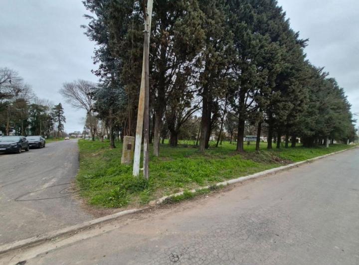Terreno · 262m²