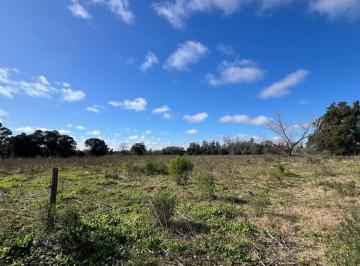 Campo · 49140m² · Campo en Venta - 49.140 m² - Mercedes