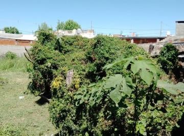 Depósito · 135m² · 1 Ambiente · Galpón en Venta - 641 m² - San Pedro