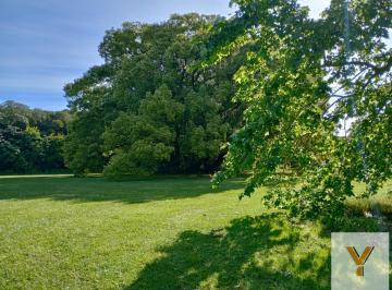 Terreno · 25000m² · Terreno en Venta - 25.000 m² - Estancia Benqueria, Monte