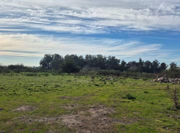 Campo · 8ha · Campo en Venta La Plata