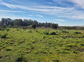 Campo · 8ha · Campo en Venta La Plata