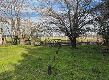 Campo · 287ha · Campo en Venta La Plata