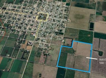 Campo · 90ha · Venta/ Campo/ Agrícola Suelo 1/ Humberto Primo