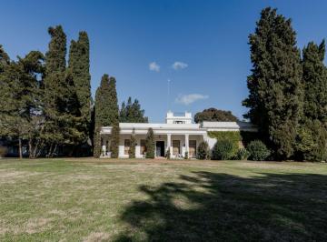 Campo · 500ha · Venta Estancia El Rincón, Viilla Elisa