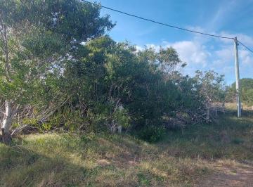 Terreno · 390m² · Terreno en Punta Rubia, Naturaleza, Playa y Futuro