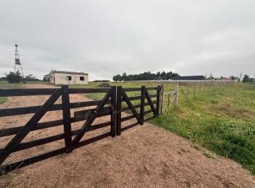 Campo · 202ha · Venta Chacra Camino Gori 36400 m