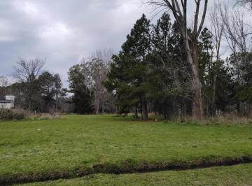 Terreno · 1598m² · Terreno en Venta - 1.598 m² - Exaltación de La Cruz
