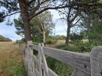 Terreno · 132995m² · Venta Hectares Medanos Sobre La Ruta 22