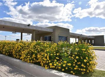 Terreno · 781m² · Terreno en Venta a La Laguna Santa Clara Al Sur