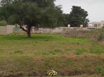 Campo , Brandsen · Venta - Terreno