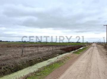 Campo · 13m² · Campo 13,5 Ha - Venado Tuerto