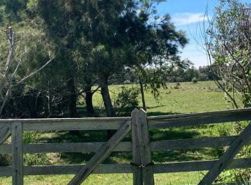 Campo · 86000m² · Chacra en Venta El Cabure Tm