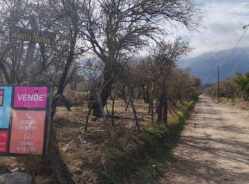Terreno , Carpintería · Terrenos de 1250 m² en Venta en Carpintería. Financiación Disponible