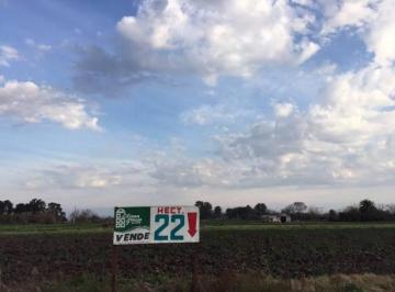 LGP-LGP-511_2 · Campo 22 Hectáreas |. | Ruta 5 Ex 7