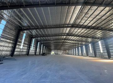 Bodega-Galpón · 5000m² · Alquiler de Nave Industrial de 5.000 m² en Gral Rodriguez, Sobre Colectora - Sin Columnas Intermedias