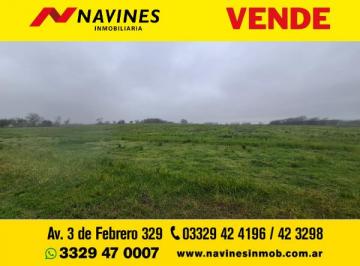 Campo , Arrecifes · Excelente Campo de 22.5 Has Agrícolas con Conectividad y Potencial Productivo
