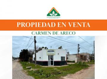 Casa de 1 ambiente, Carmen de Areco · Propiedad en Venta en Esquina