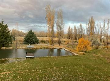 Campo · 420m² · 7 Ambientes · En Venta Finca con Casa en Malargüe, Ideal Proyecto