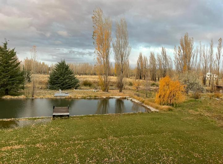 Terreno · 420m² · 7 Ambientes