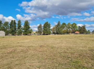Terreno , Exaltación de la Cruz · Lote 5.005 m² Al Arroyo Lennon – Haras El Malacate – Dueño Directo