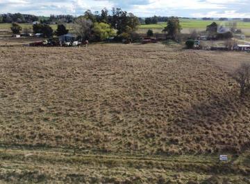 Campo · 1ha · Venta Lote Napaleofú Sobre Ruta 227. Parcela 2
