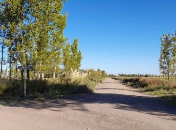 Terreno · 2740000m² · Venta Campo a m de General Alvear