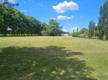 Terreno · 1455m² · Venta Lote 1559 m² Haras San Pablo Gral Rodriguez