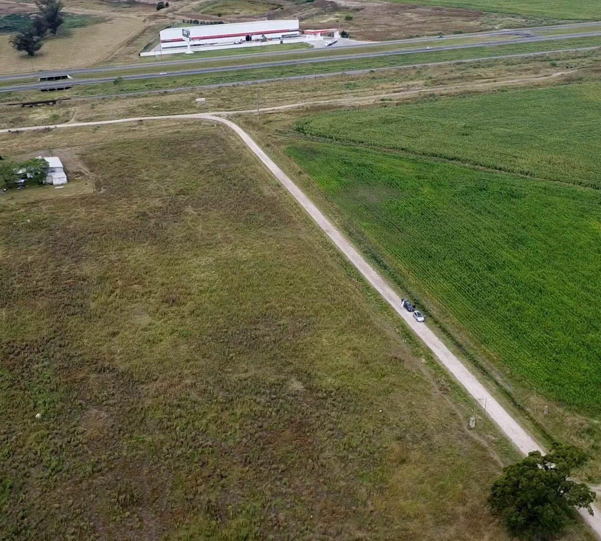 Venta de 3 lotes en Paraje el Casal, 1000m² cada uno