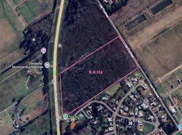 Campo · 6ha · Venta 6ha Sobre Ruta 28 Apto Club de Campo C - Cc
