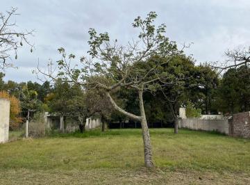 Terreno · 1300m² · Venta Lote Bv. Bosque Lasalle, Colastiné
