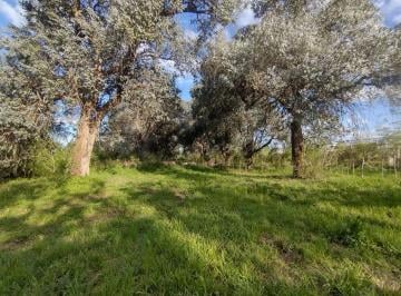 Campo · 10ha · Hectáreas en Venta Ideal Diversos Rubros, El Pato