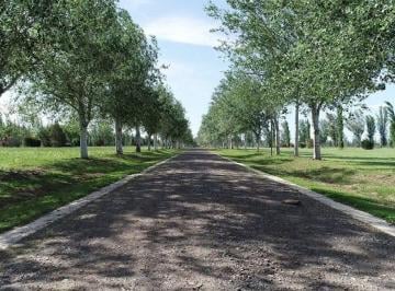 Terreno · 385m² · Venta Lote con Pileta Pinares del Sur Piñero