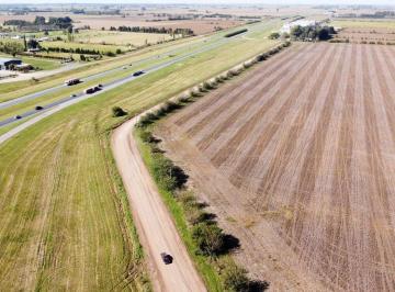 Campo · 59ha · Venta de Campo Industrial Sobre Au09 y Ruta 26