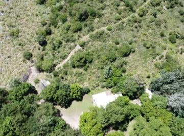 Campo · 245ha · Venta Campo 18has Arroyo Cno Candonga Agua de Oro