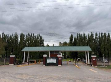 Terreno · 655m² · Venta Lote La Comarca, Centenario
