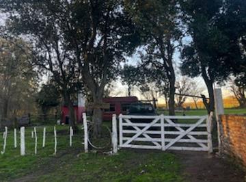 Campo · 4ha · Campo de 4 Ha Oportunidad - Vicente Casares
