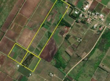 Campo · 271ha · Venta de Chacra de 11 Hectáreas Zona Pajas Blancas
