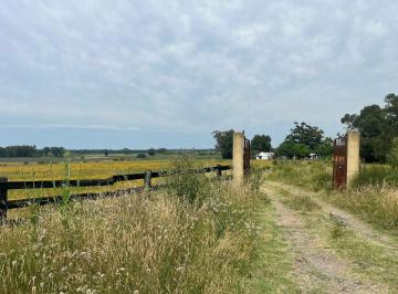 Campo · 6ha · Chacra en Venta 6has Salinas Ruta 87