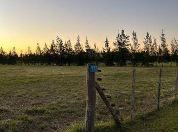 Terreno · 6540m² · Venta Chacras de Abbott Lote 6540 Mt