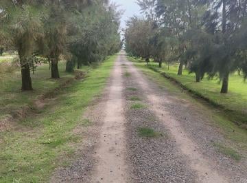 Terreno · 1200m² · Lote Venta San Miguel del Monte Terreno 1.200 m²