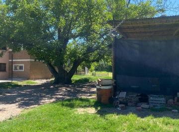 Terreno · 9600m² · Venta de Fracción de Chacra – Cinco Saltos