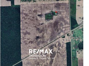 Campo · 77ha · Campo en Venta – 77has Colonia José Mármol