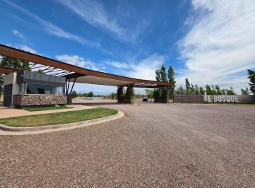Terreno · 311m² · Lote 300 m Barrio El Bosque Rodeo del Medio, Maipu